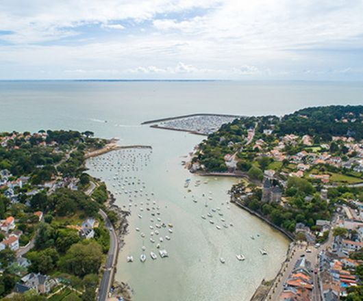 Agrandissement de l'image