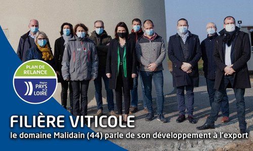 Filière viticole ligérienne : la Région des Pays de la Loire soutient le développement à l’export