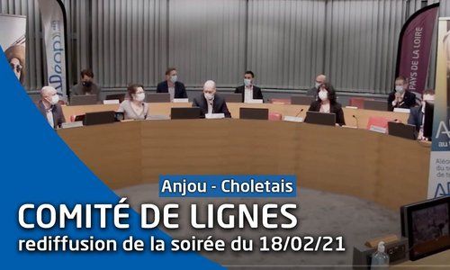 Comité de lignes Anjou-Choletais [rediffusion du live du 18 février 2021]